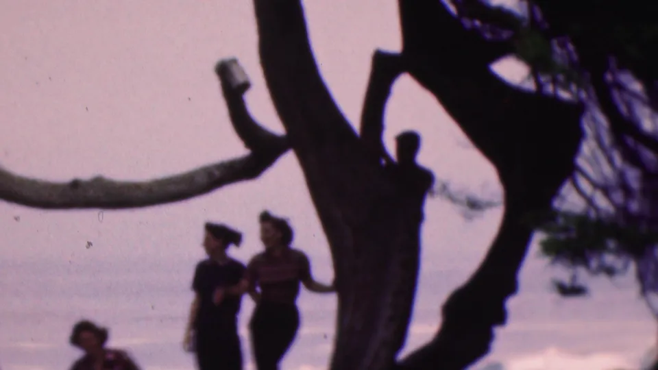 1953 Cleveland, Ohio frame with two silhouetted adults beside a dark tree trunk and prominent curving branch against a pale waterfront background.
