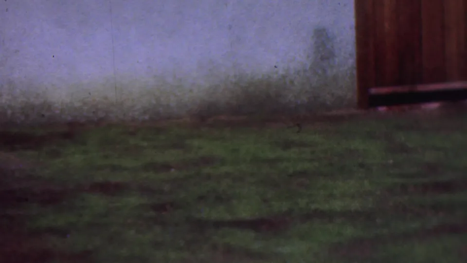 The frame shows hose spray moving across patchy grass near a plain wall and a wooden gate or fence section in the Cleveland yard.