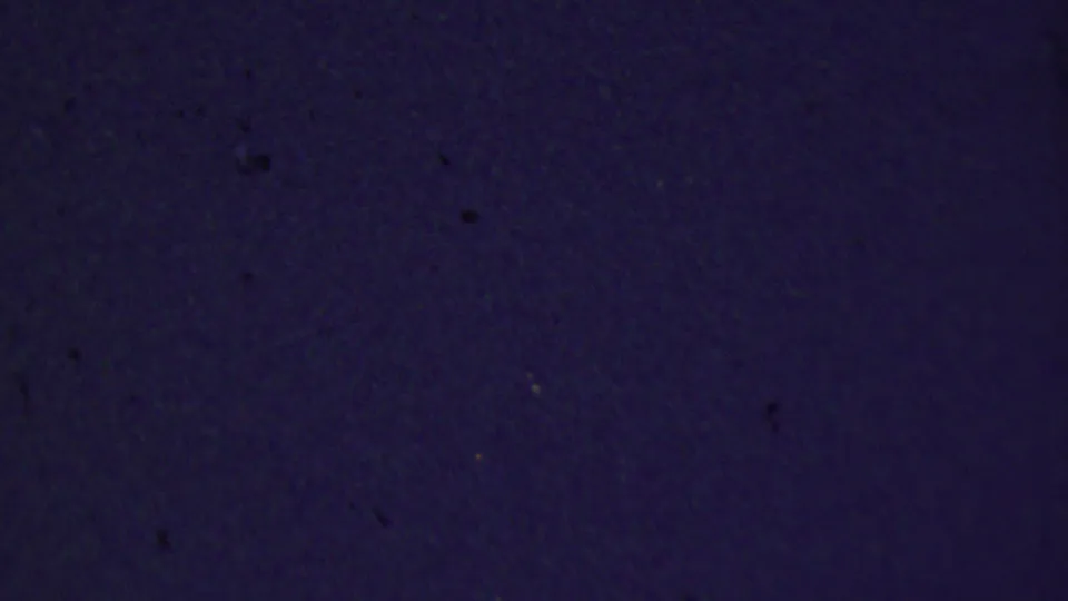 Final dark 8mm frame with faint grain, slight color variation, and scattered specks, suggesting the end of the short reel segment.