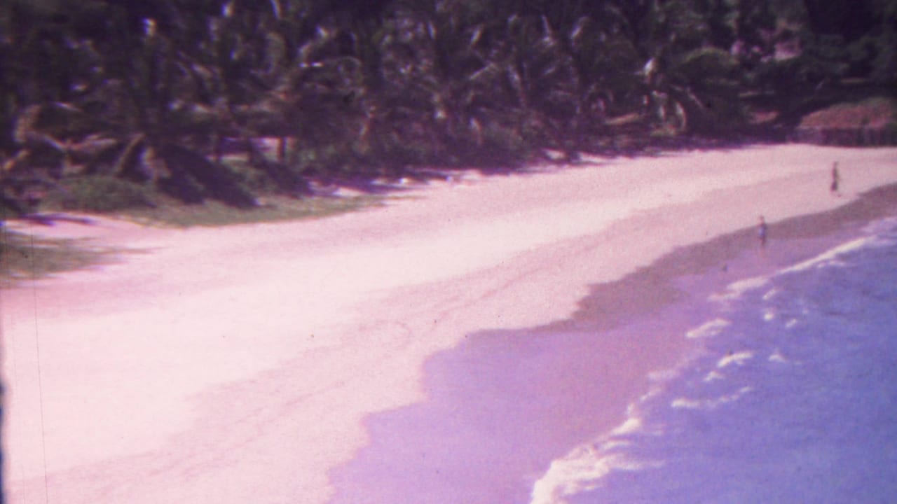 Curving beach and surf line with palm trees behind the sand and distant people near the water.