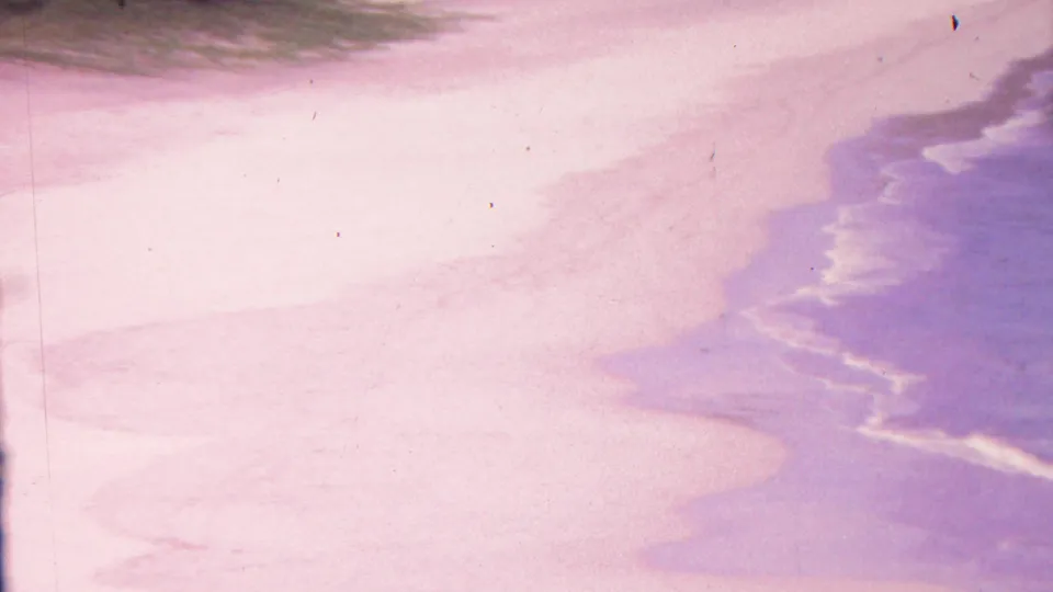 1962 Hawaii 8mm frame focused on the pale shoreline and purple-blue water, with vegetation at the top edge and no identifiable close figures.