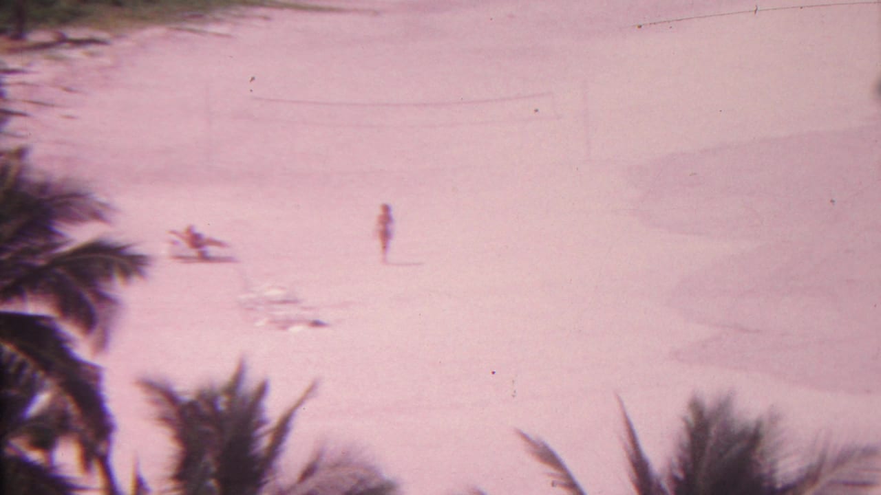 The 8mm Hawaii beach view holds on palm fronds, a folding chair, and distant people scattered across sunlit sand with a strong pink film cast.