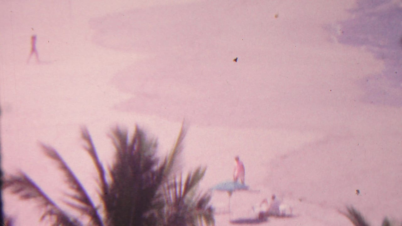 1962 Hawaii 8mm frame showing a high-angle view over palm fronds toward beachgoers, blue umbrellas, lounge chairs, and shallow shoreline water.