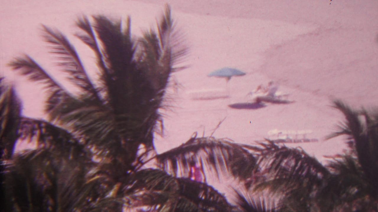Palm fronds dominate the foreground with distant beach chairs, umbrellas, and people on sand beyond.
