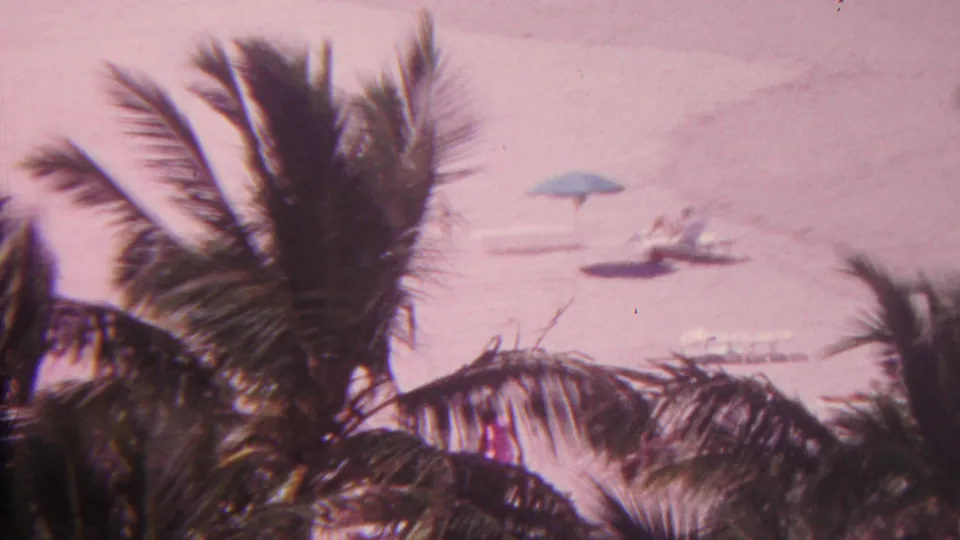 1962 Hawaii beach frame with windblown palm fronds in the foreground and distant people reclining or sitting near blue umbrellas and lounge chairs.