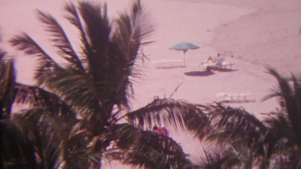 1962 Hawaii 8mm still with dark palm fronds across the foreground and a distant beach setup of blue umbrella, chairs, and people on pale sand.