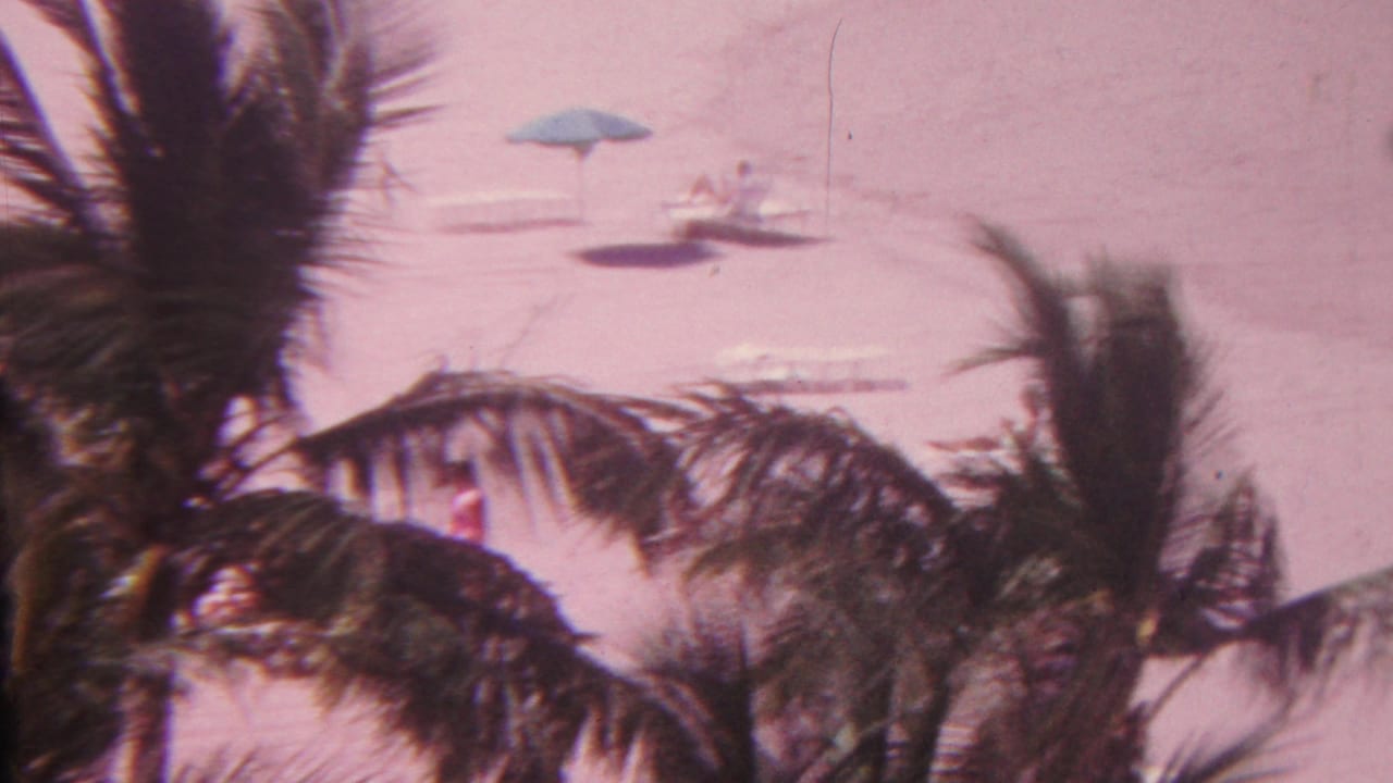 Palm fronds frame a sandy beach with lounge chairs and a blue umbrella in the distance.