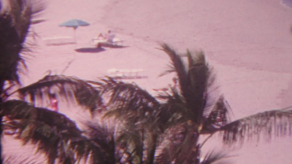 1962 Hawaii home-movie frame looking through palm leaves toward beach umbrellas, lounge chairs, and distant seated people on the sand.