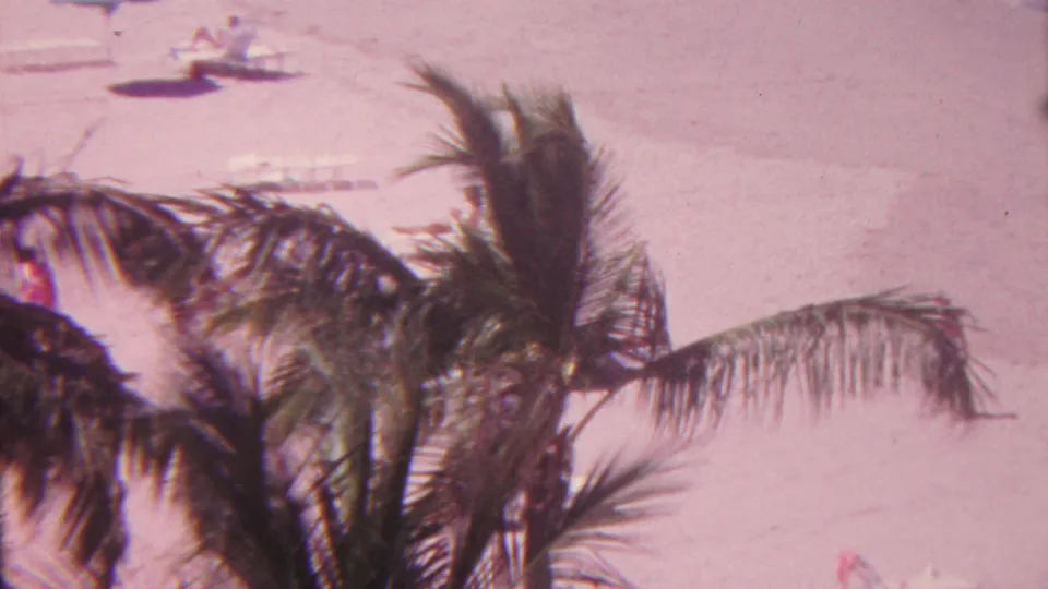1962 Hawaii 8mm frame with overlapping palm fronds in the foreground and faint beach lounge chairs and umbrellas visible on the sand behind them.