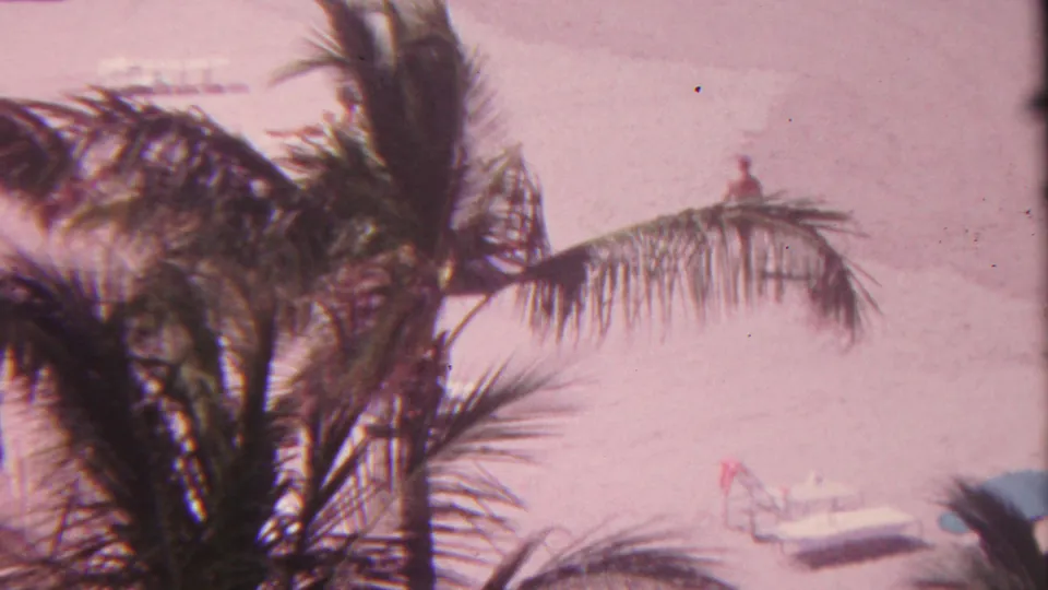 1962 Hawaii beach frame with palm fronds in front, pale sand behind, and a small boat plus blue umbrella partly visible near the lower right.