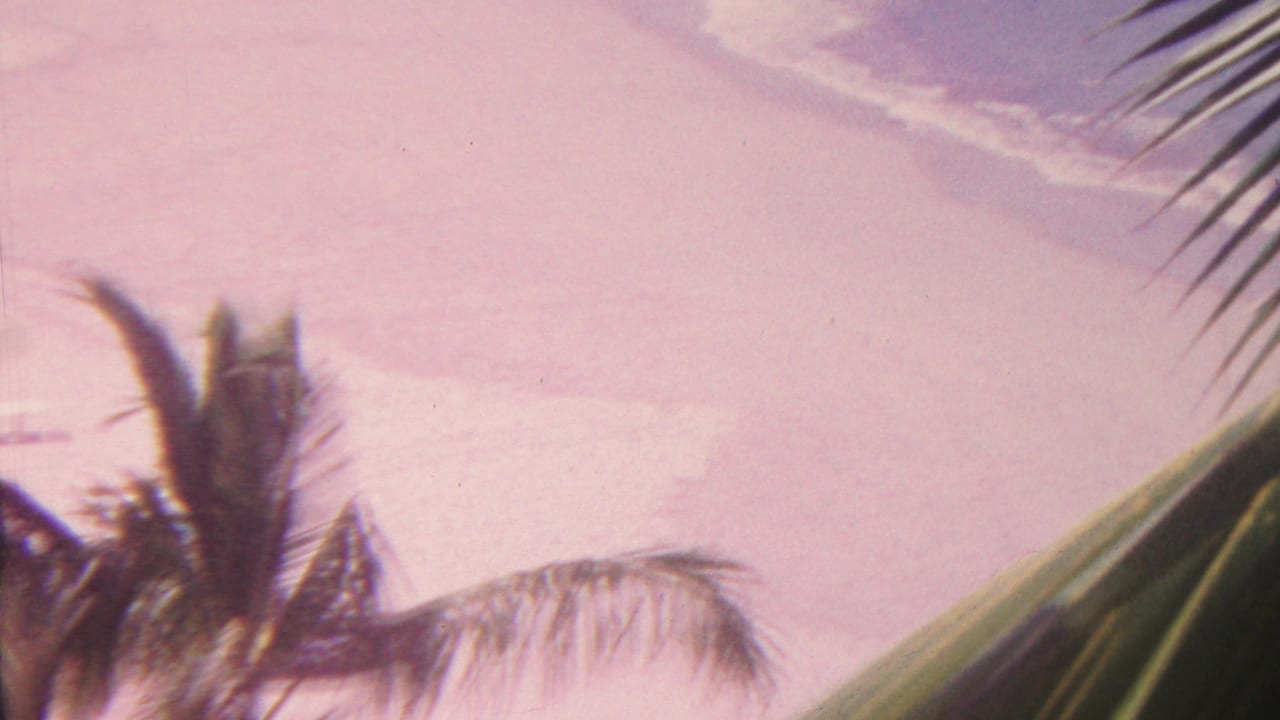 1962 Hawaii 8mm home-movie frame showing palm silhouettes and fronds around a softly tinted beach and ocean shoreline.