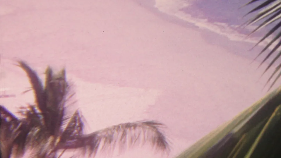 1962 Hawaii 8mm home-movie frame showing palm silhouettes and fronds around a softly tinted beach and ocean shoreline.