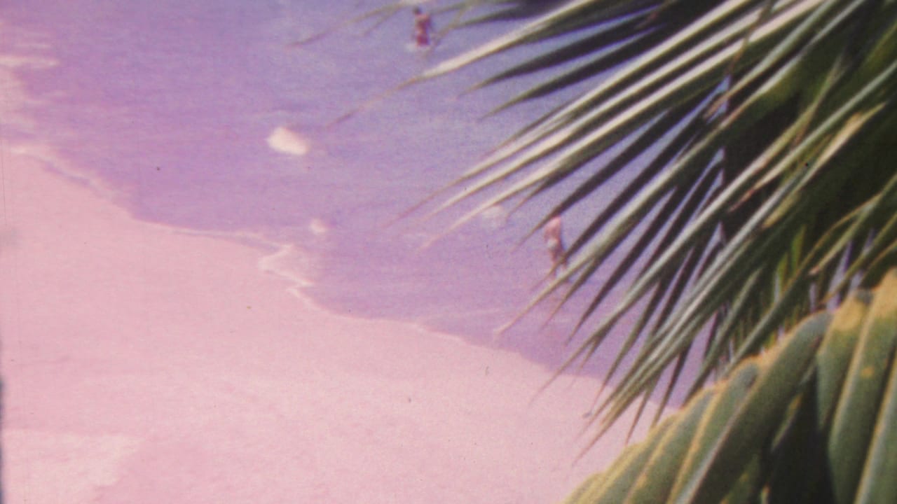 Palm fronds hang over a pale beach and ocean with faint figures in the water.