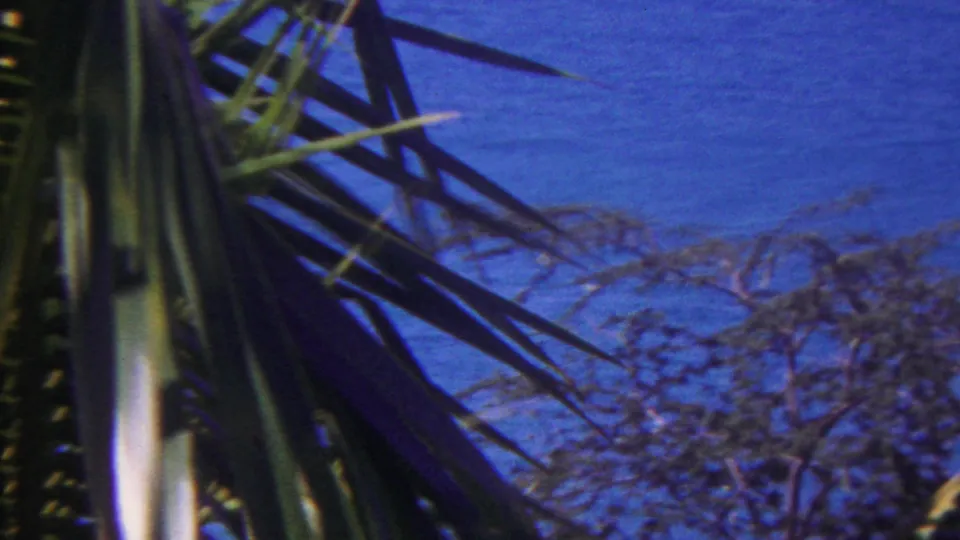 Palm leaves frame the blue ocean and low shoreline vegetation in a 1962 Hawaii home-movie view.