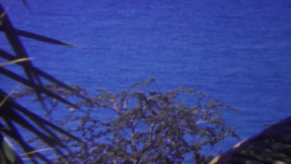 Blue ocean and low coastal vegetation appear behind dark palm fronds in vintage Hawaii 8mm footage.