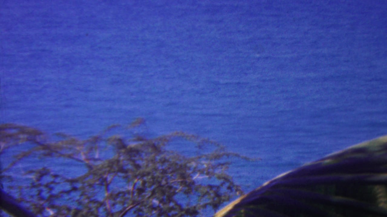 1962 Hawaii 8mm frame showing deep blue ocean behind shoreline branches and the edge of a palm frond in bright daylight.