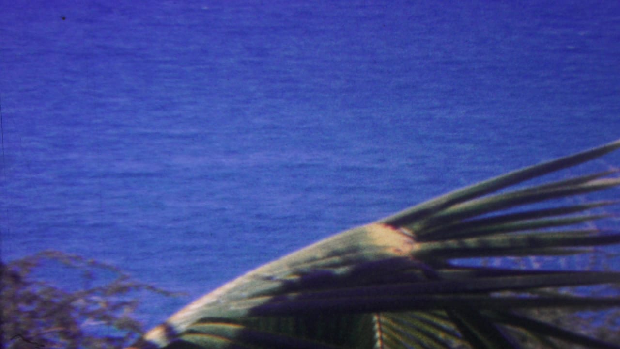 1962 Hawaii 8mm frame with large palm fronds in the foreground and blue ocean filling the background.