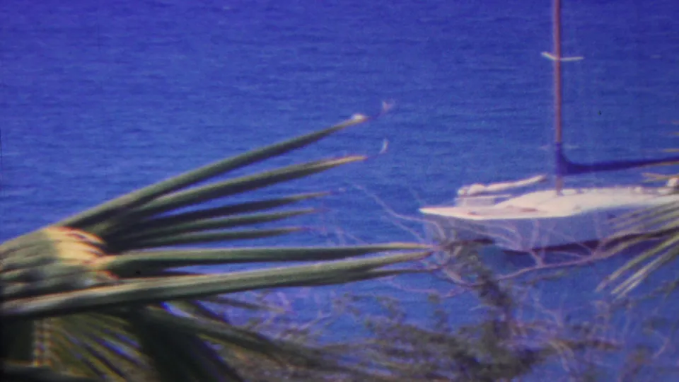 1962 Hawaii 8mm frame showing a white sailboat with a tall mast on blue water, partly obscured by palm fronds and shoreline branches.