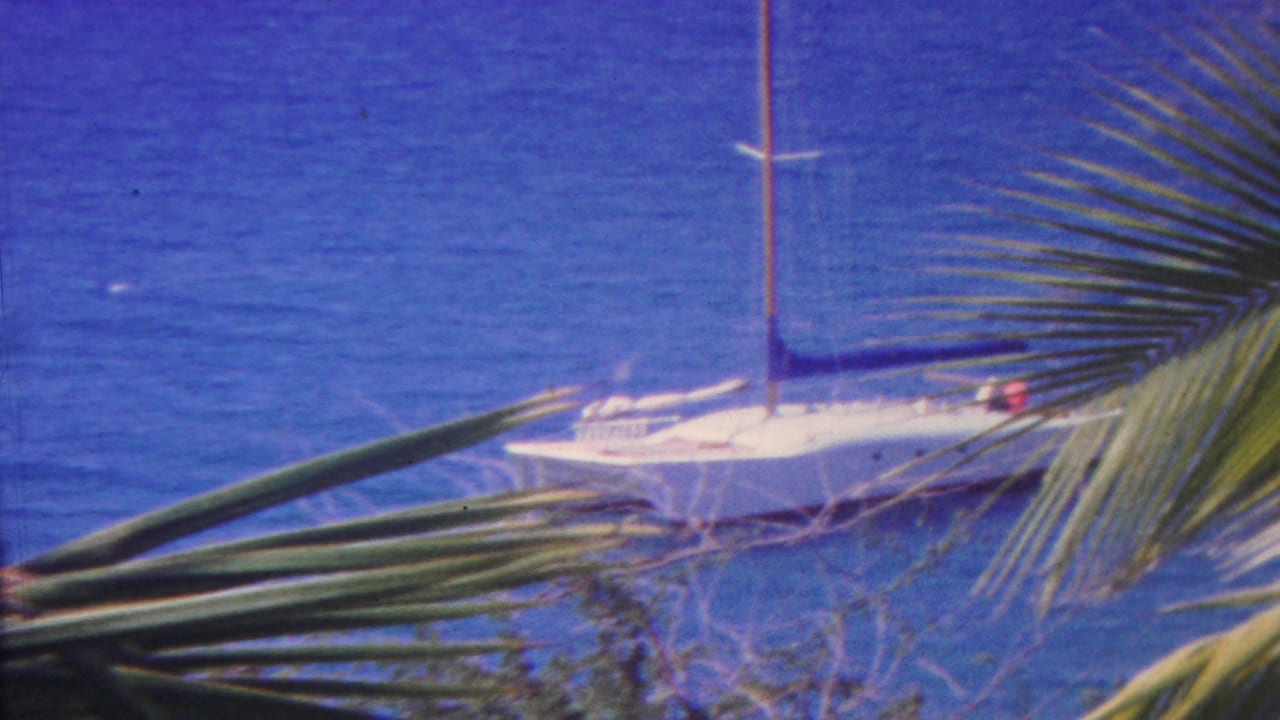 A small white sailboat is anchored offshore in a blue tropical ocean view, with palm leaves cutting across the foreground.