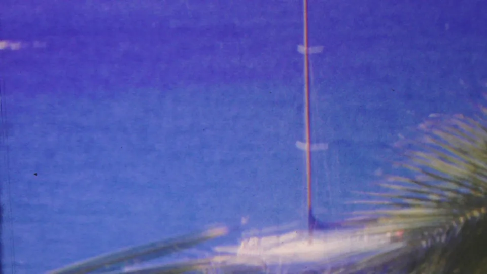 The sailboat appears blurred in the lower frame as palm fronds and saturated blue water dominate the 8mm view.