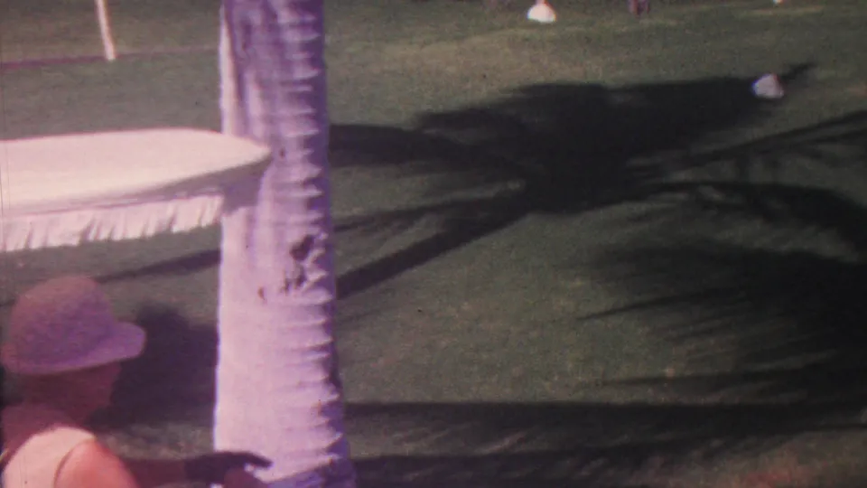 The final frame shifts toward the palm-lined course, showing a palm trunk, dark grass shadows, part of the golf cart roof, and the man's hat and shoulder at the bottom edge.