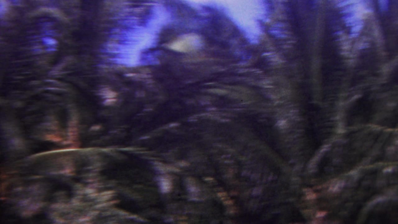 Blurred palm leaves and tropical plants seen during handheld camera movement.