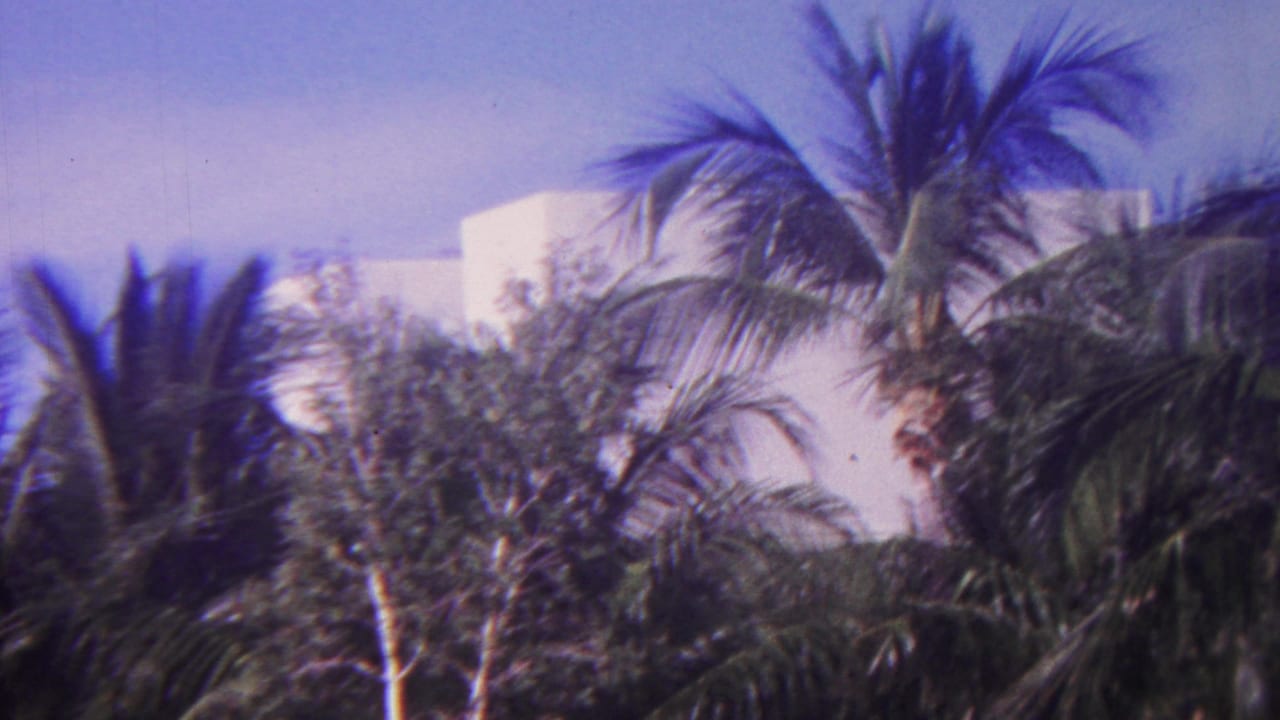 1962 Hawaii 8mm frame showing palm trees and tropical foliage partly obscuring a white building under bright sky.
