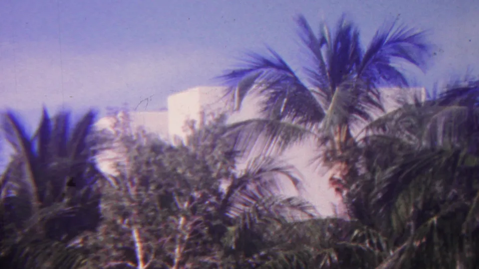 1962 Hawaii 8mm frame with palm fronds, layered greenery, and a white building glimpsed behind the trees.