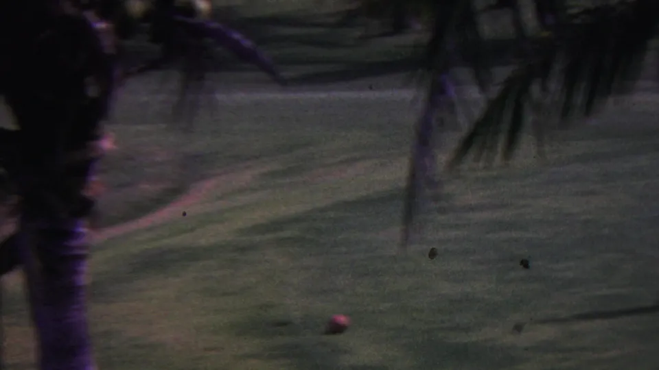A red golf ball rests on a tropical golf course in 1962 Hawaii, with dark palm trunks and fronds partially blocking the home-movie view.