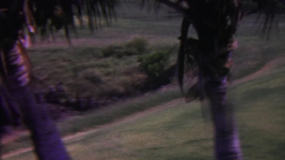 Palm trunks and fronds frame a sloped section of a Hawaii golf course, with the green and course contours visible in soft 8mm color.