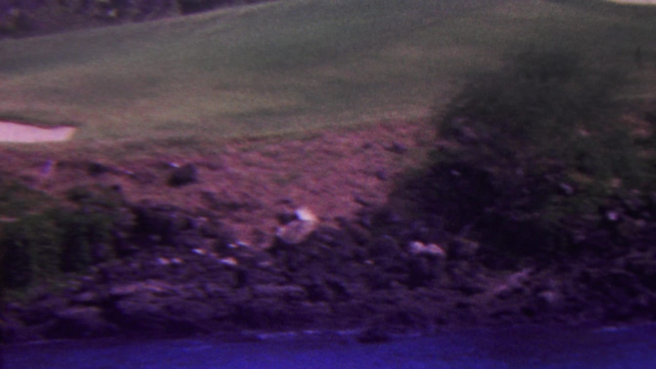 1962 Hawaii 8mm frame showing rocky coastal ground, low shrubs, trees, and green lawn in a soft purple-shifted home-movie scan.