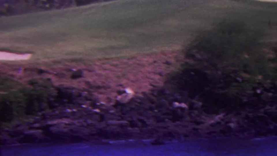 1962 Hawaii 8mm frame showing rocky coastal ground, low shrubs, trees, and green lawn in a soft purple-shifted home-movie scan.