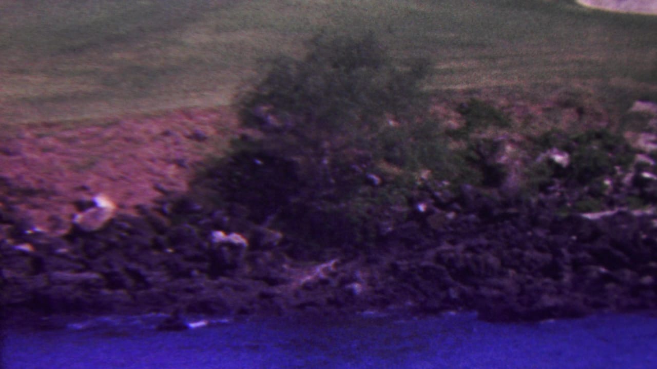 Rocky shoreline with bushes and trees below a wide green lawn.