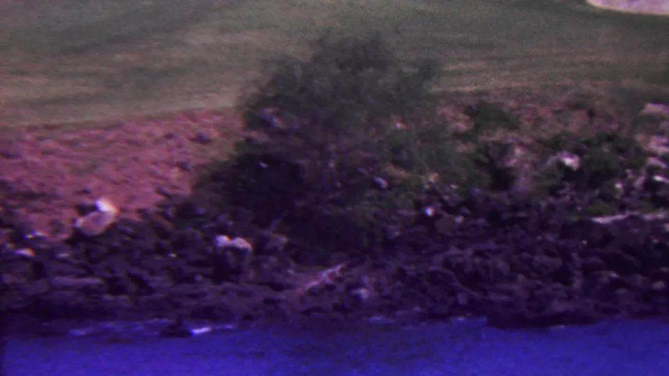 1962 Hawaii home-movie frame of a rocky landscaped shoreline area with shrubs, trees, and open lawn above it.