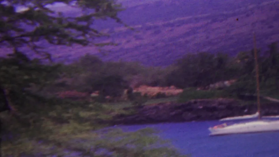 1962 Hawaii home-movie frame with foreground branches, a white sailboat on blue water, low shoreline vegetation, and purple-toned hills behind.