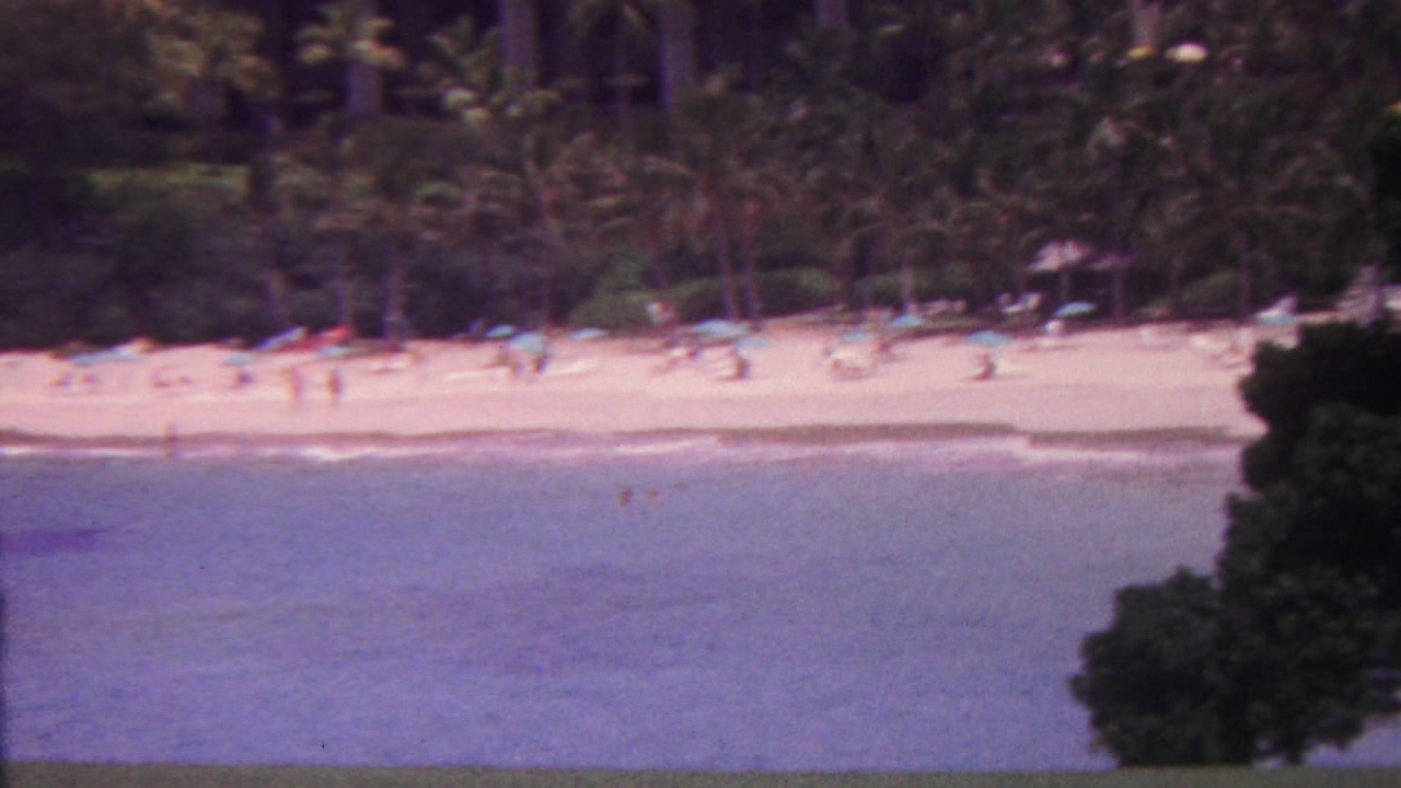 Distant sandy beach with swimmers, sunbathers, palm trees, and blue water.