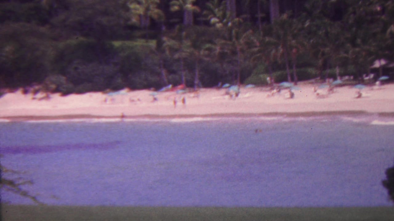 Palm-lined beach with small figures near the water and umbrellas on the sand.