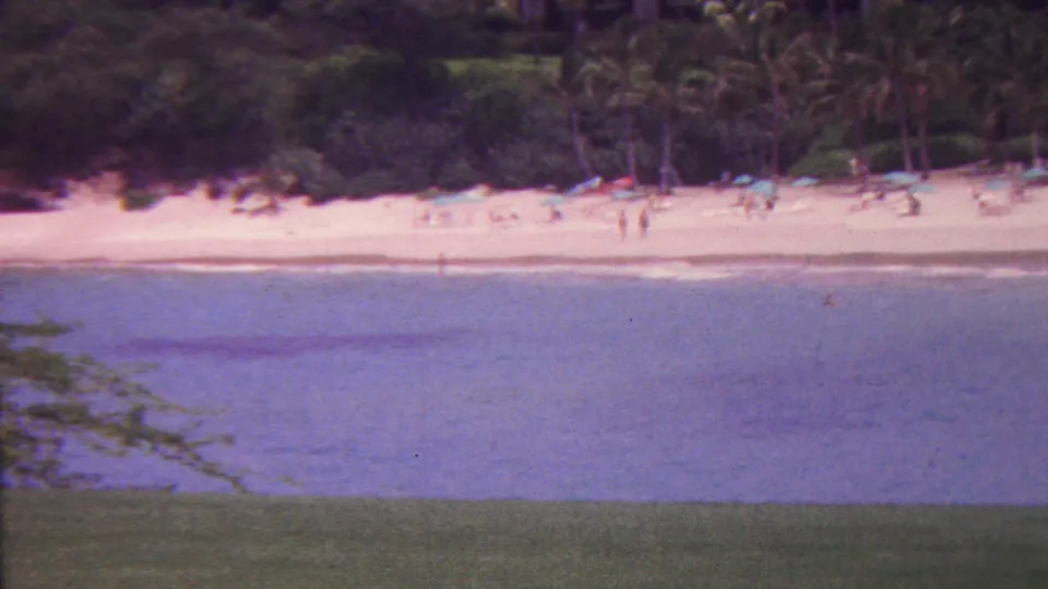 Wide 1962 Hawaii resort-area beach view with water in the foreground, a sandy shore with distant sunbathers, umbrellas, and palms beyond.