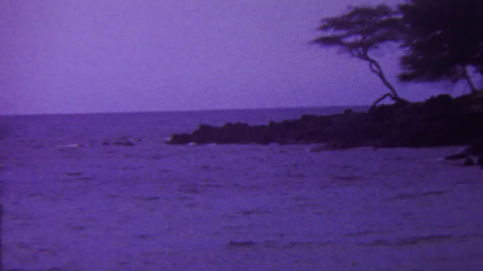A metadata-supported Hawaiian coastal view shows purple-tinted ocean water, a low horizon, dark shoreline rocks, and silhouetted tree branches along the right side of the frame.