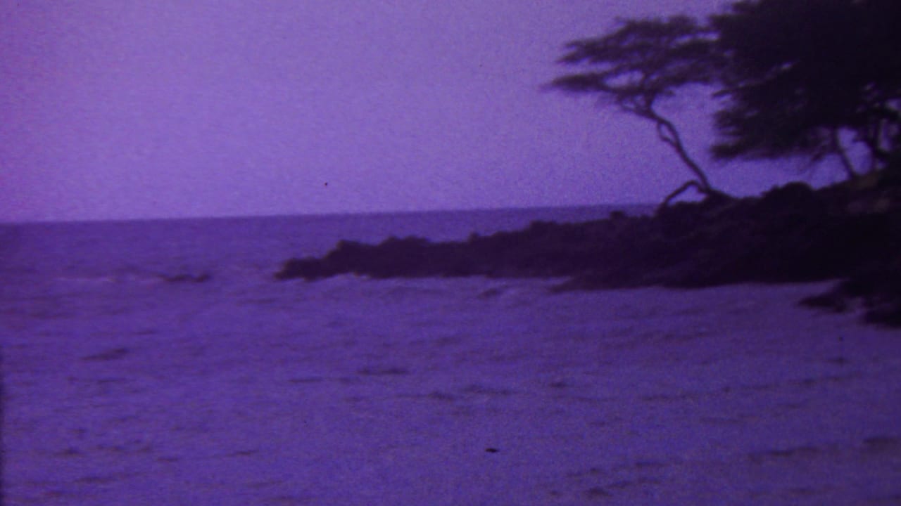 1962 Hawaii 8mm frame showing a purple-cast beach edge with small waves, a low ocean horizon, dark rocks, pale sand, and windswept coastal trees on the right.