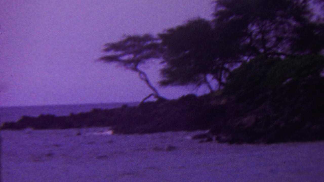 Rocky beach shoreline with ocean water, sand, and dark trees along the right edge.