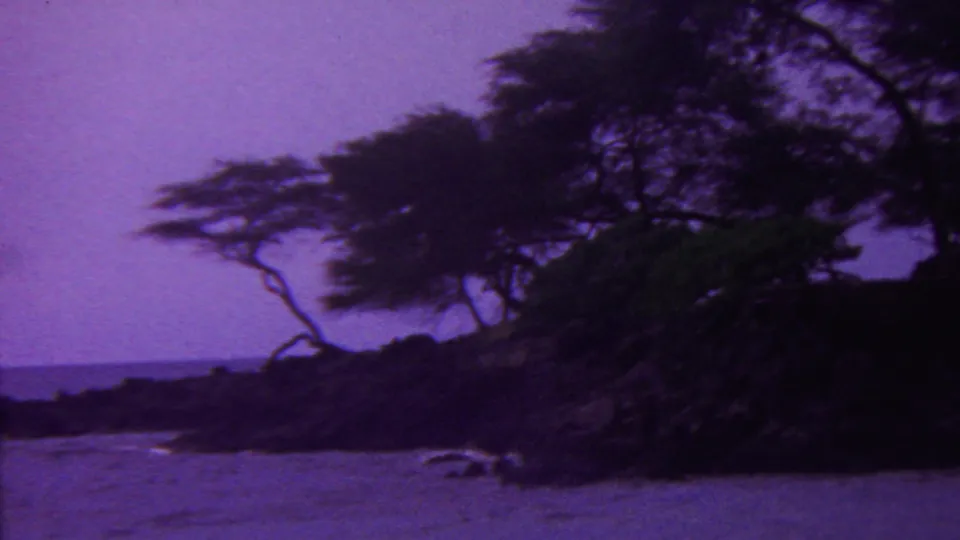 1962 Hawaii 8mm frame showing a windswept coastal tree, dense dark vegetation, rocks, sand, and calm water under a strong purple film cast.