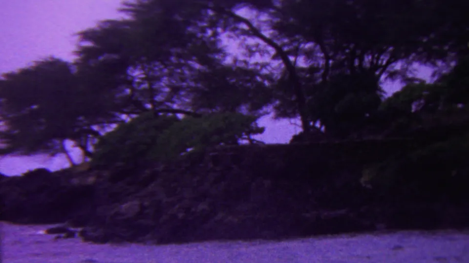 1962 Hawaii 8mm frame with dark coastal trees and shrubs over rocks, pale sand at the beach edge, and purple-tinted ocean water in the foreground.