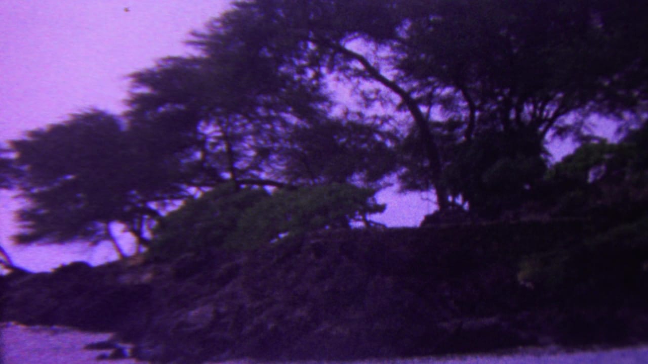 1962 Hawaii 8mm home-movie frame showing shadowed trees, thick greenery, and rocky terrain with a purple-shifted background beyond the foliage.