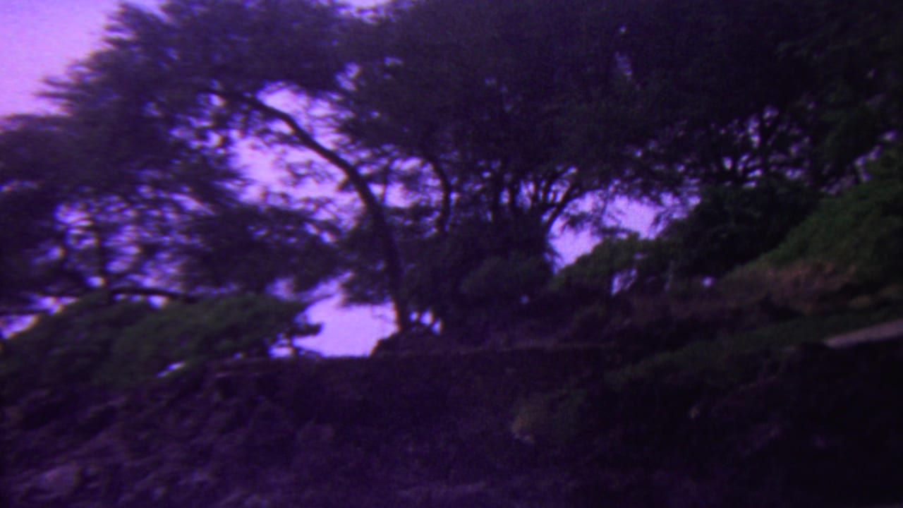 Large trees and dark vegetation frame rocky terrain near a pale purple background.