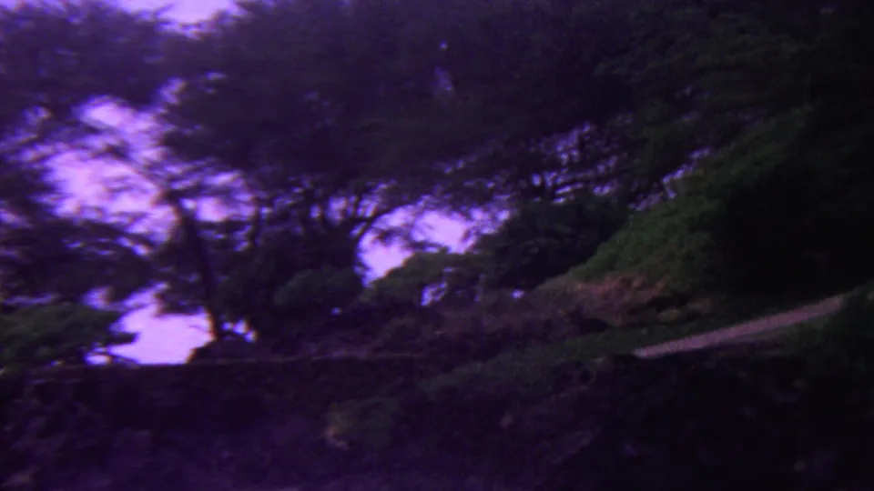 1962 Hawaii 8mm frame showing a shaded wooded area with dense foliage, rough terrain, and a narrow pale path or ledge cutting through the right side.