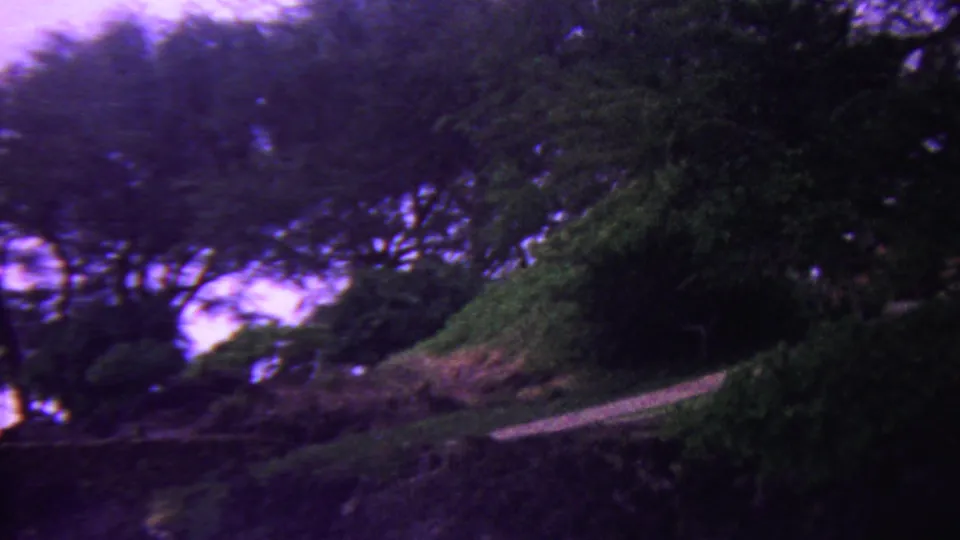 1962 Hawaii 8mm home-movie frame of thick greenery, dark tree silhouettes, rocky ground, and a narrow pale path or ledge under purple color fading.