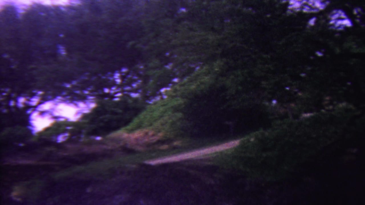 1962 Hawaii 8mm home-movie frame showing a shaded path or road edge passing through dense green trees with patches of sky above.