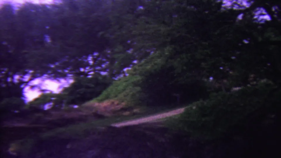 1962 Hawaii 8mm home-movie frame showing a shaded path or road edge passing through dense green trees with patches of sky above.