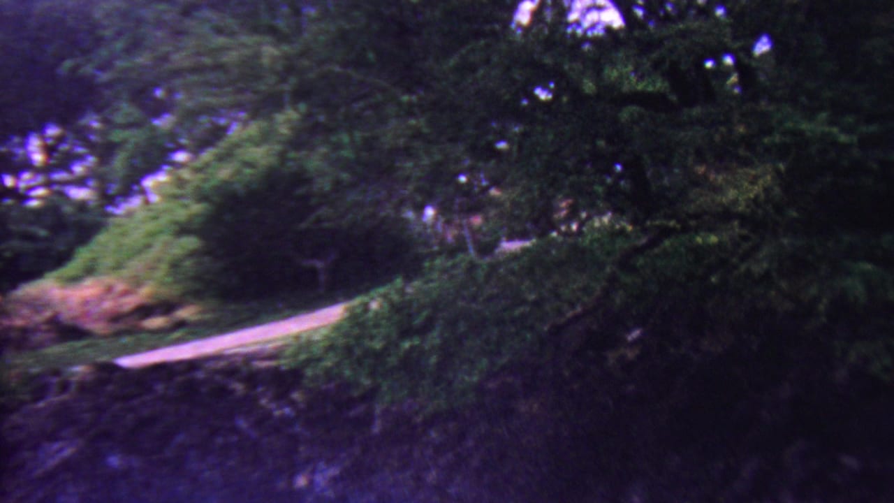 1962 Hawaii outdoor travel frame with a pale curving path beside lush vegetation, dark tree cover, and soft purple color shift from the film stock.